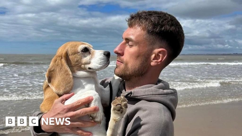 لاعب ويلز آرون رامسي يرفع مكافأة فقدان كلب إلى 20 ألف دولار
