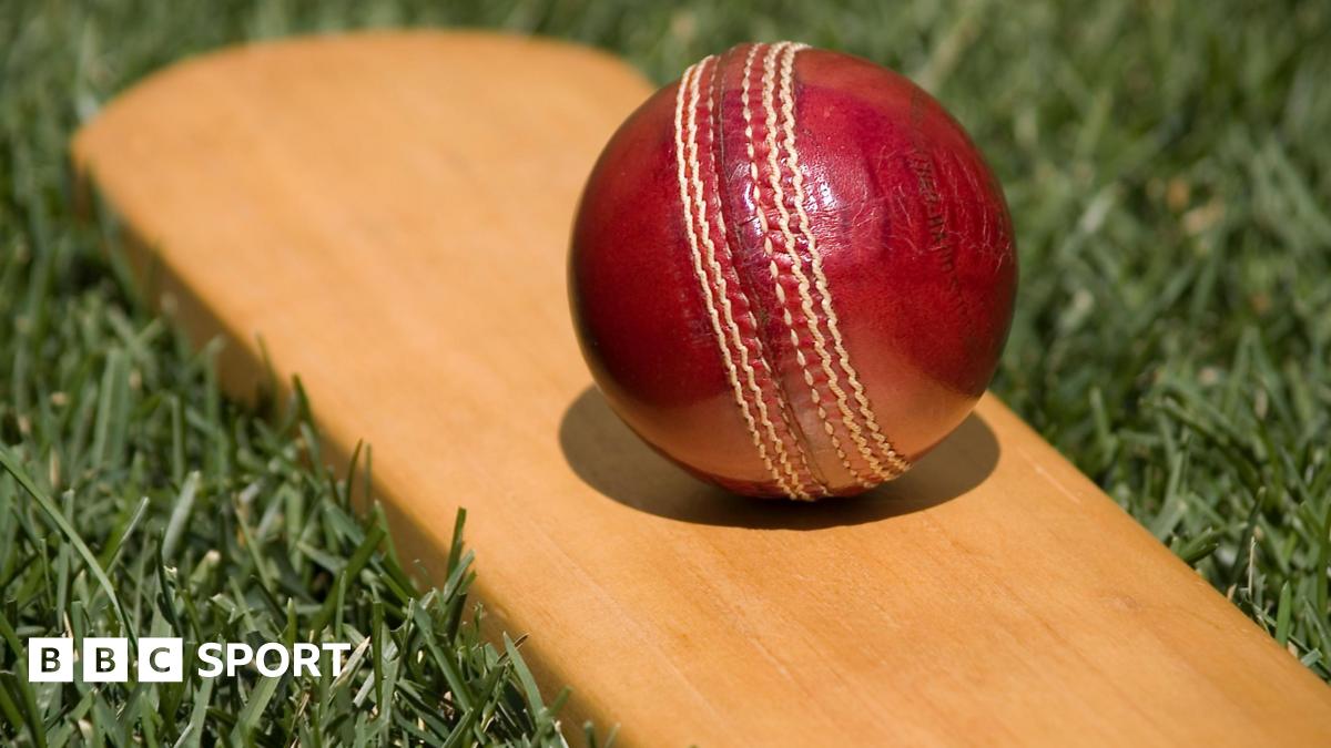 Stock image of cricket bat and ball