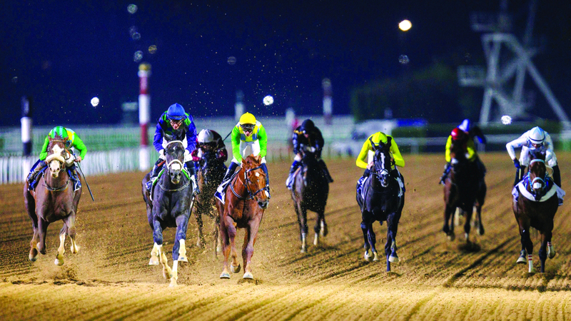 73 خيلاً تشارك في أولى أمسيات كرنفال سباقات دبي
