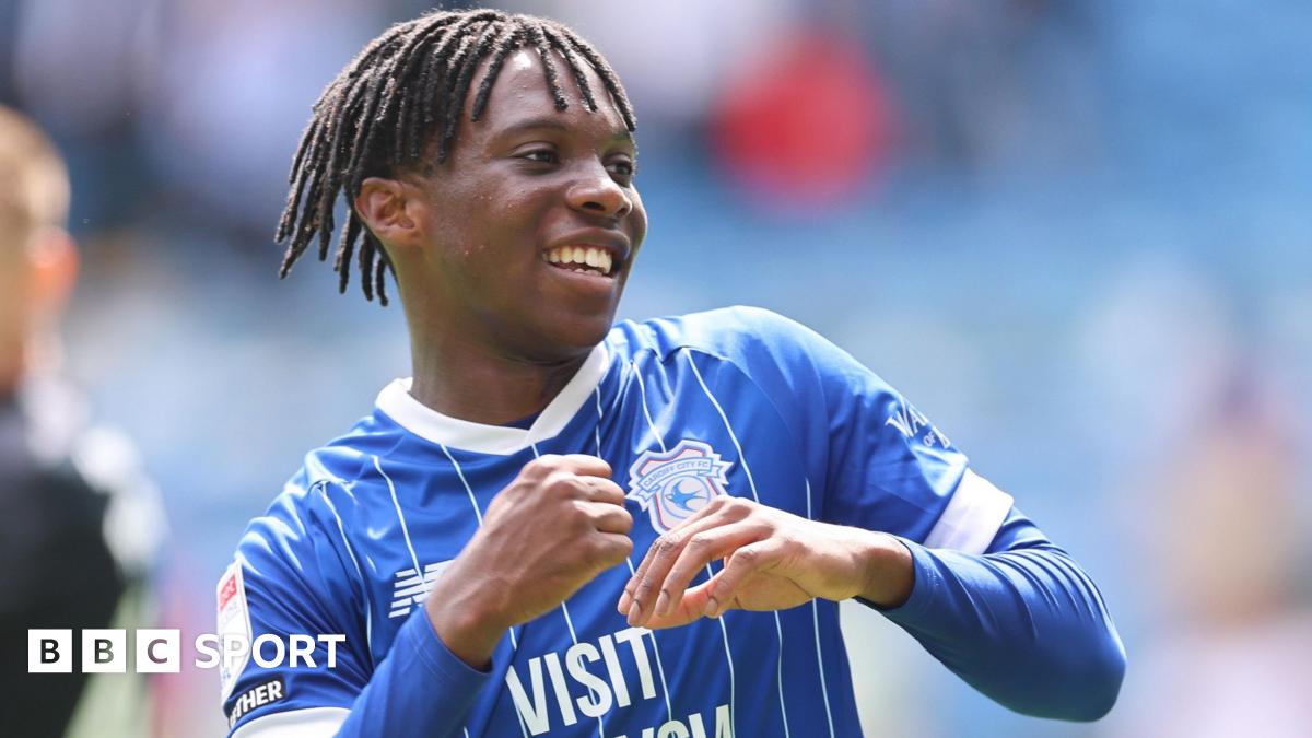 ويلز نوادي EFL 'الشباب "فائدة ضخمة" لويلز - ديف آدمز
