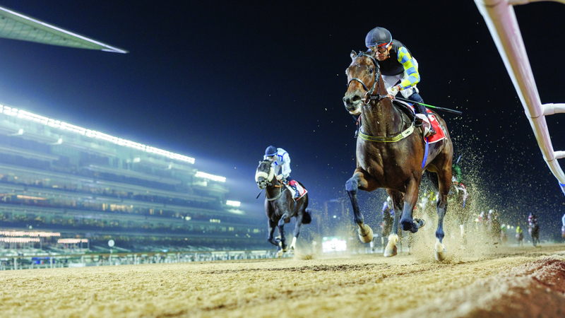 «كيوبيد دريم» بطل الشوط الرئيس في افتتاح «كرنفال سباقات دبي»
