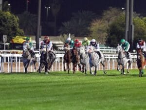 14 خيلاً من النخبة تتطلع إلى لقب سباق كأس أبوظبي الذهبي