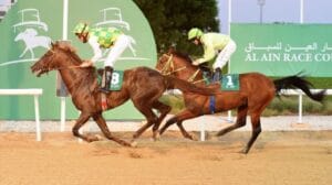 «العين للفروسية» يستضيف السباق الـ 9 للخيول العربية