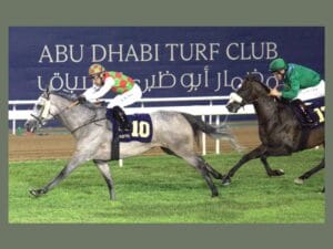 100 خيل تتنافس في عاشر سباقات أبوظبي