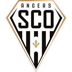 شعار الفريق