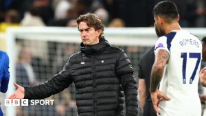 Tottenham Hotspur stadium