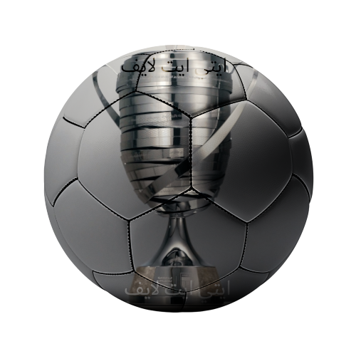 كأس رئيس الدولة (الإمارات)
