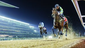 «كيوبيد دريم» بطل الشوط الرئيس في افتتاح «كرنفال سباقات دبي»